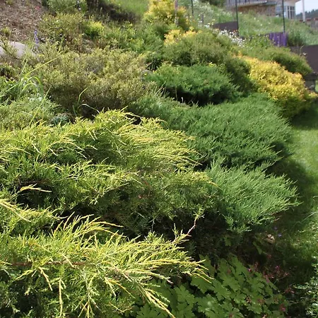 别墅 The Stone 贝利伊斯库尔