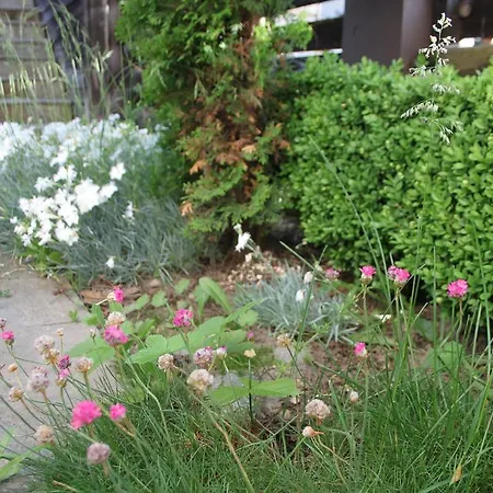 别墅 The Stone 贝利伊斯库尔