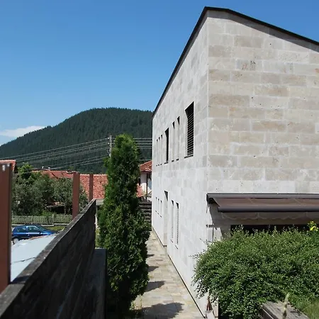 Villa The Stone Beli Iskar