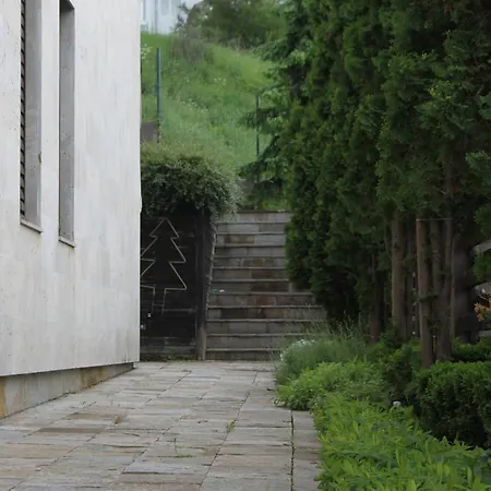 The Stone 벨리 이스카르