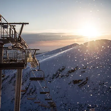 The Stone * 贝利伊斯库尔