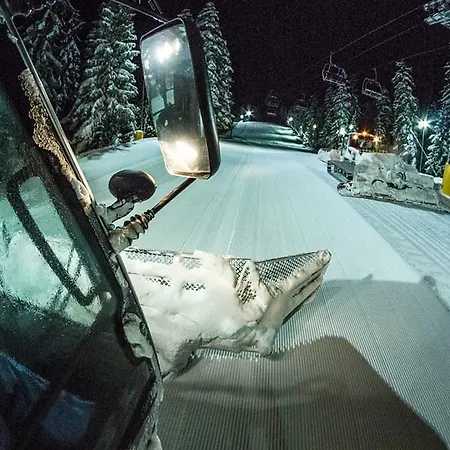 The Stone 贝利伊斯库尔