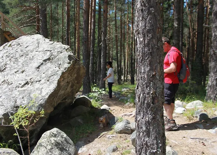 Villa The Stone Beli Iskar