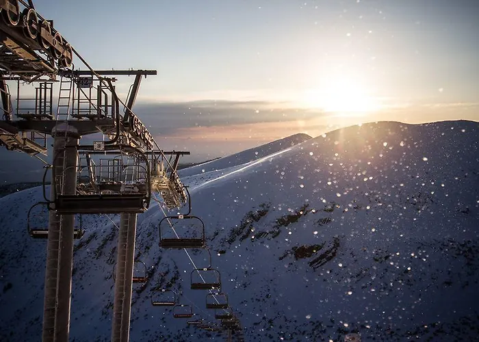 The Stone * Beli Iskar