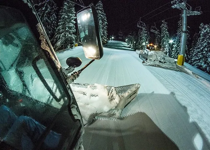 The Stone Beli Iskar